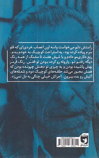 راجع به پرچم ویت کنگ ها